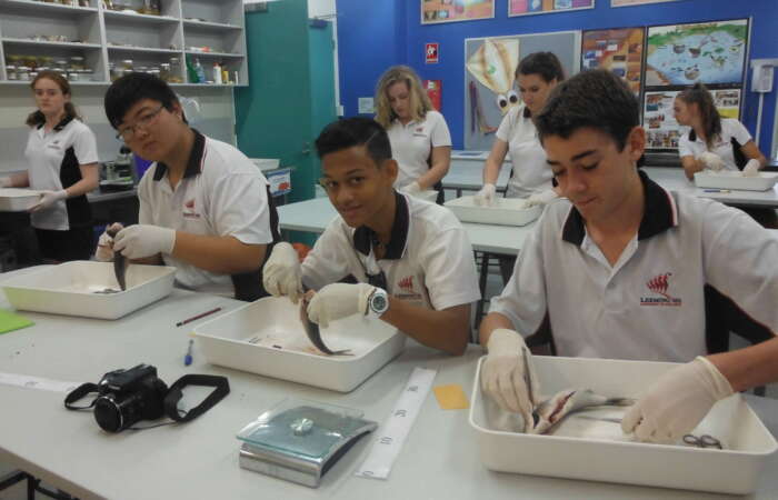 Science 2014